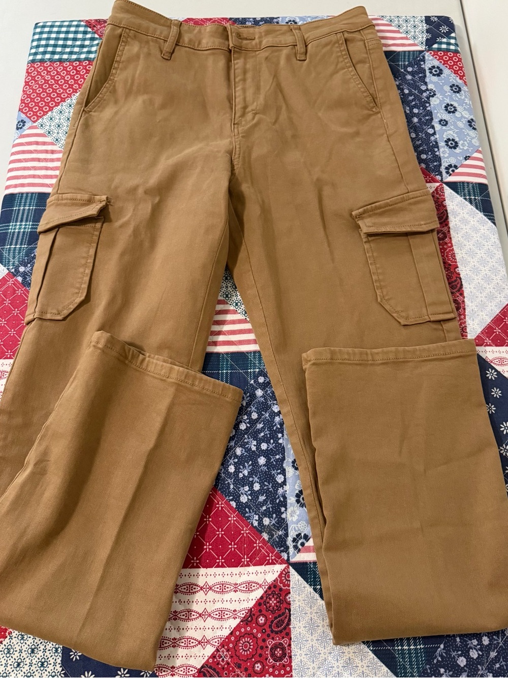 Well Worn Women's Cargo Pants in Brown/Tan